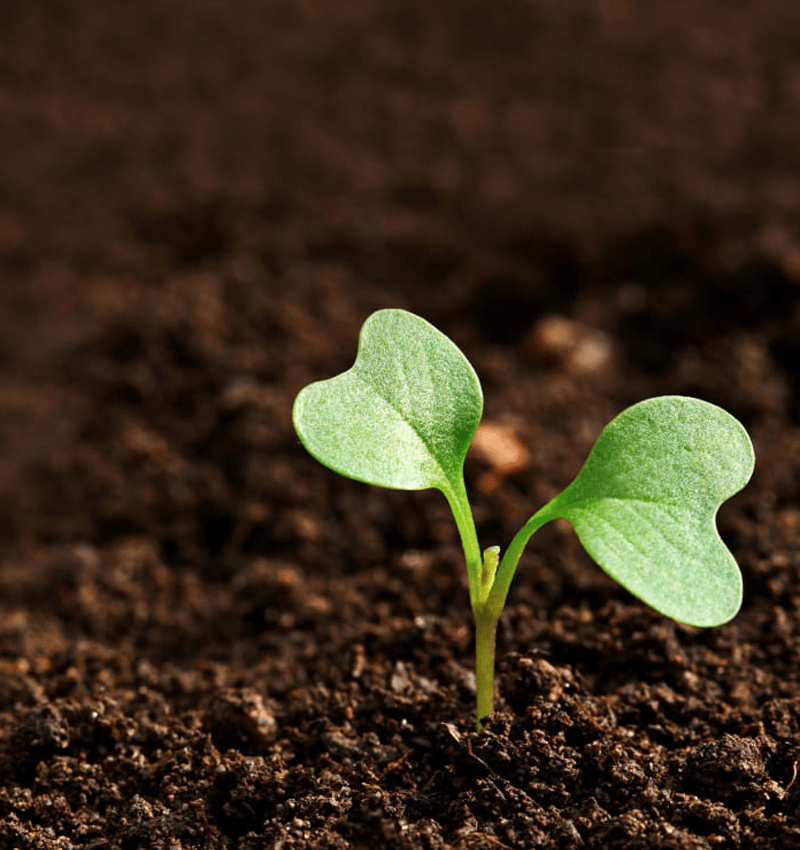 Soil testing and agricultural services